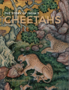 Story of India's Cheetahs